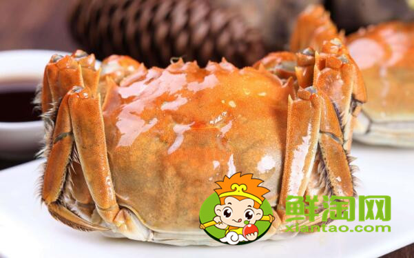 梁子湖大闸蟹几月份吃,梁子湖大闸蟹在哪里买
