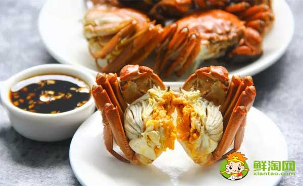 梁子湖大闸蟹几月份吃,梁子湖大闸蟹在哪里买