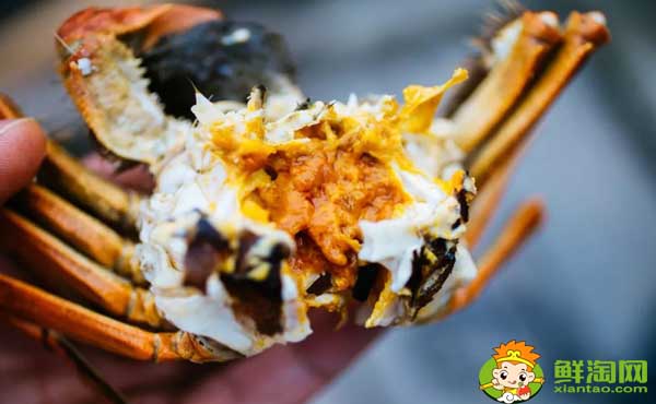 洪泽湖大闸蟹几月上市,洪泽湖大闸蟹和阳澄湖大闸蟹哪个好