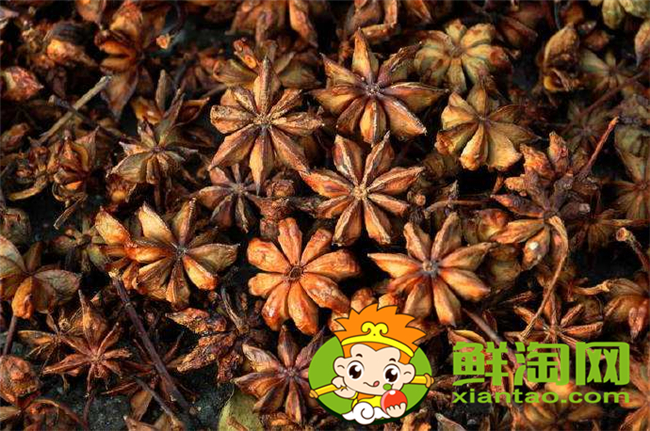 怎样辨别八角是没有用过的,如何鉴别八角品质
