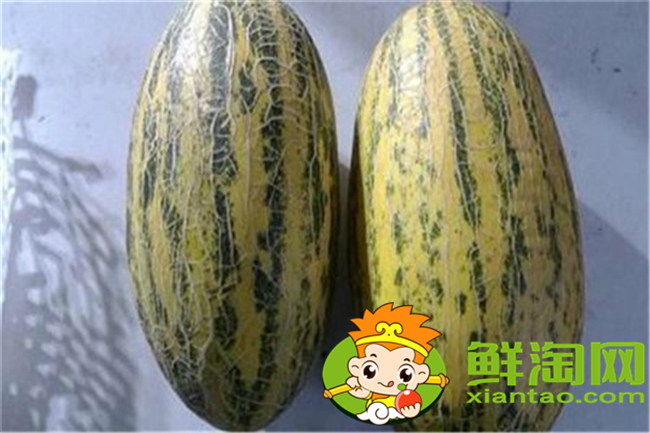 哈密瓜是什么和什么的杂交品种,什么品种的哈密瓜最好吃最甜