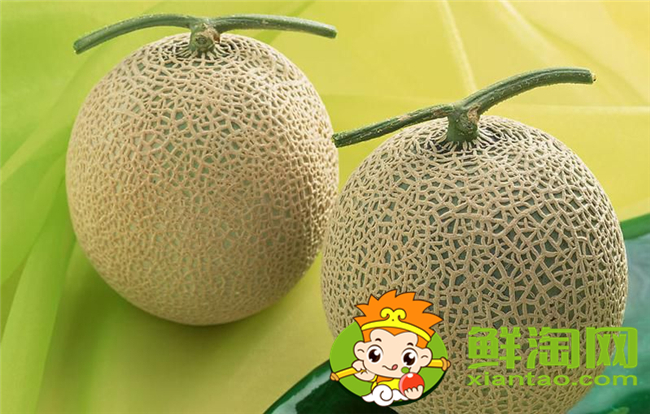哈密瓜是什么和什么的杂交品种,什么品种的哈密瓜最好吃最甜