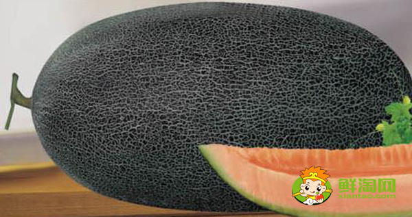 伽师瓜是热性还是凉性,伽师瓜和西州蜜的区别