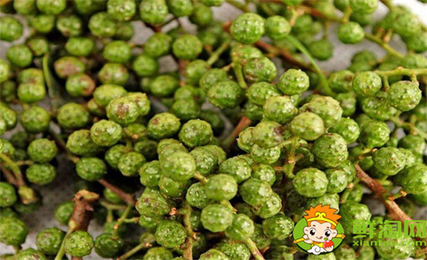 藤椒可以代替花椒吗,藤椒树和青花椒一样吗