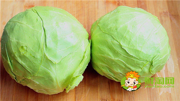 卷心菜和包菜有什么区别,怎样区别包菜和卷心菜