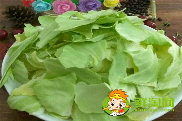 包菜哪个品种好,进口包莱种子有哪些