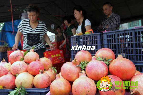 枣庄石榴哪里多,枣庄石榴上市时间