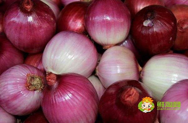 剥了皮的洋葱能放多久,洋葱剥几层皮才能吃