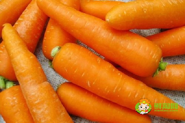 胡萝卜可以和黄豆一起打吗,胡萝卜去皮还有营养吗