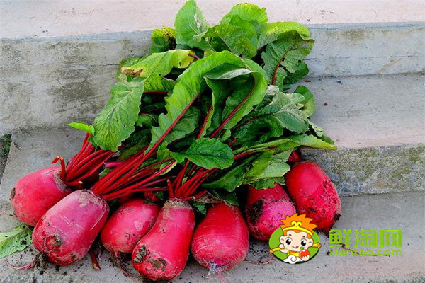 红萝卜要削皮吃吗,红萝卜炒的时候需要削皮吗