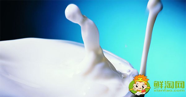空腹喝牛奶能减肥吗,空腹喝牛奶的危害