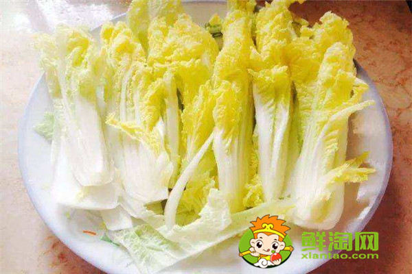 娃娃菜怎么存放时间长,娃娃菜常温能放多久