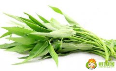 空心菜怎么择菜,空心菜为什么不用刀切