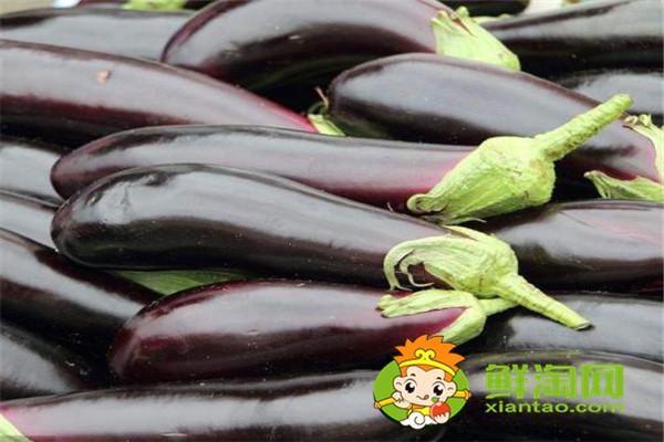 茄子为什么要削一些皮,立秋的茄子有毒吗