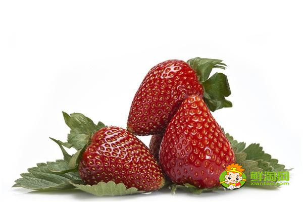 反季节草莓几月份熟,怎么挑选草莓好吃