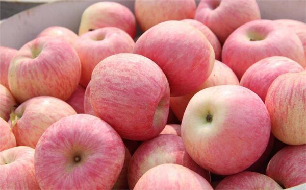 越吃越瘦的10种水果,吃水果的最佳时间